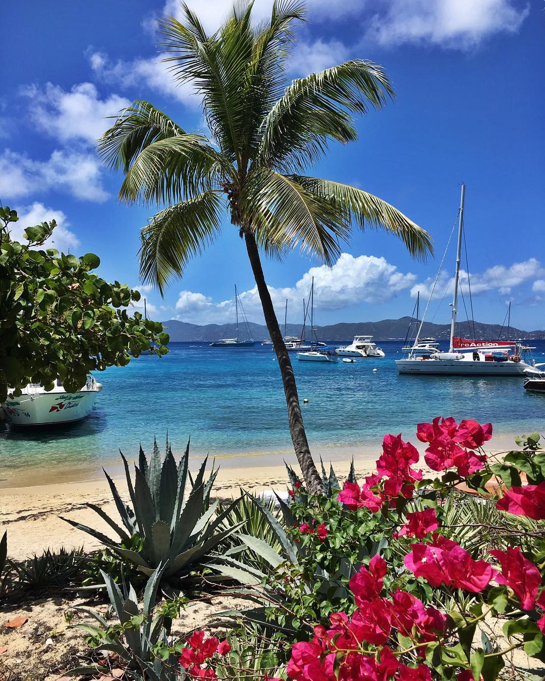 7 BVI Best Beaches You Can’t Miss Ritzy Charters